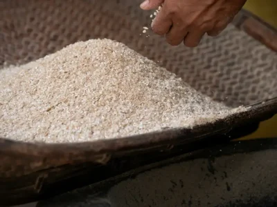 What Is Fortified Rice The Art of Fortification of Rice